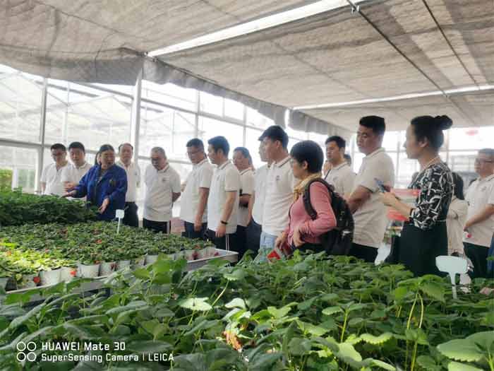 伟易博(中国区)官方网站