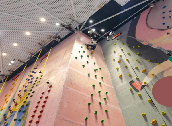 伟易博(中国区)官方网站