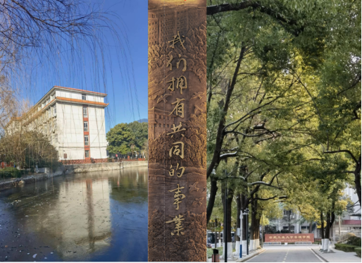 伟易博(中国区)官方网站